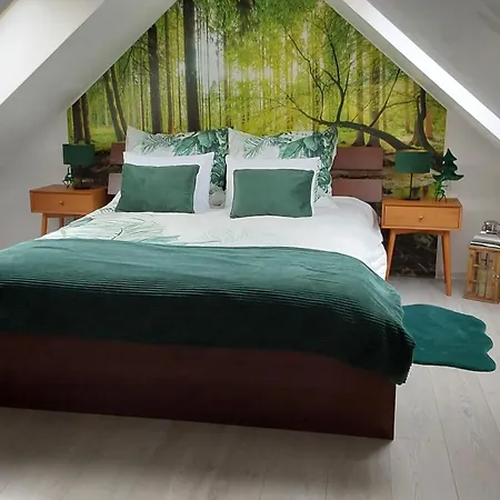 公寓 El-jar 2 Mieta Goralki