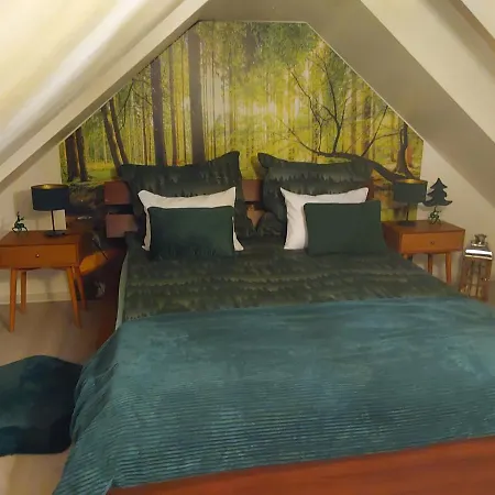 아파트 El-jar 2 Mieta Goralki 카르파츠